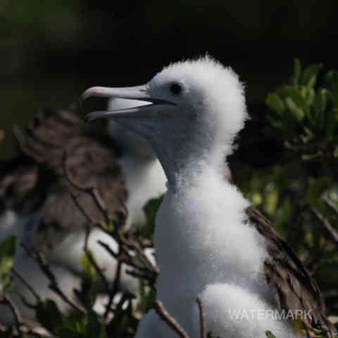 Nature, Yoga, Ressourcement, Créativité, Sens, Immersion, Bien-être, Reconnexion, Éveil, Voyage (intérieur/extérieur), Sérénité, Profondeur, Authenticité, Harmonie, Présence, Inspiration, Exploration, Intuition, Pleine conscience, Découverte, Créativité, Photographie, Ecriture, Yoga thérapie.