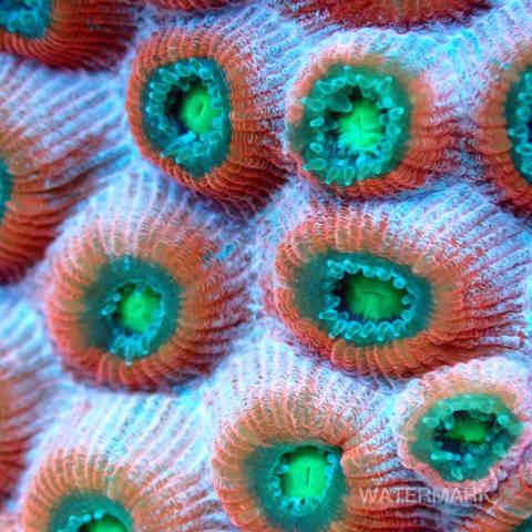 Nature, Yoga, Ressourcement, Créativité, Sens, Immersion, Bien-être, Reconnexion, Éveil, Voyage (intérieur/extérieur), Sérénité, Profondeur, Authenticité, Harmonie, Présence, Inspiration, Exploration, Intuition, Pleine conscience, Découverte, Créativité, Photographie, Ecriture, Yoga thérapie.