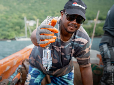 Réduire les captures accidentelles de tortues marines