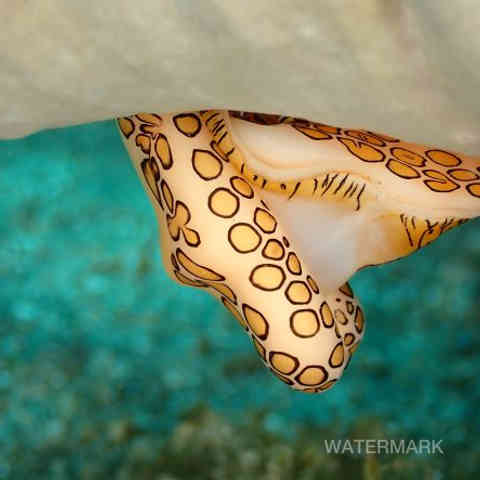 Nature, Yoga, Ressourcement, Créativité, Sens, Immersion, Bien-être, Reconnexion, Éveil, Voyage (intérieur/extérieur), Sérénité, Profondeur, Authenticité, Harmonie, Présence, Inspiration, Exploration, Intuition, Pleine conscience, Découverte, Créativité, Photographie, Ecriture, Yoga thérapie.