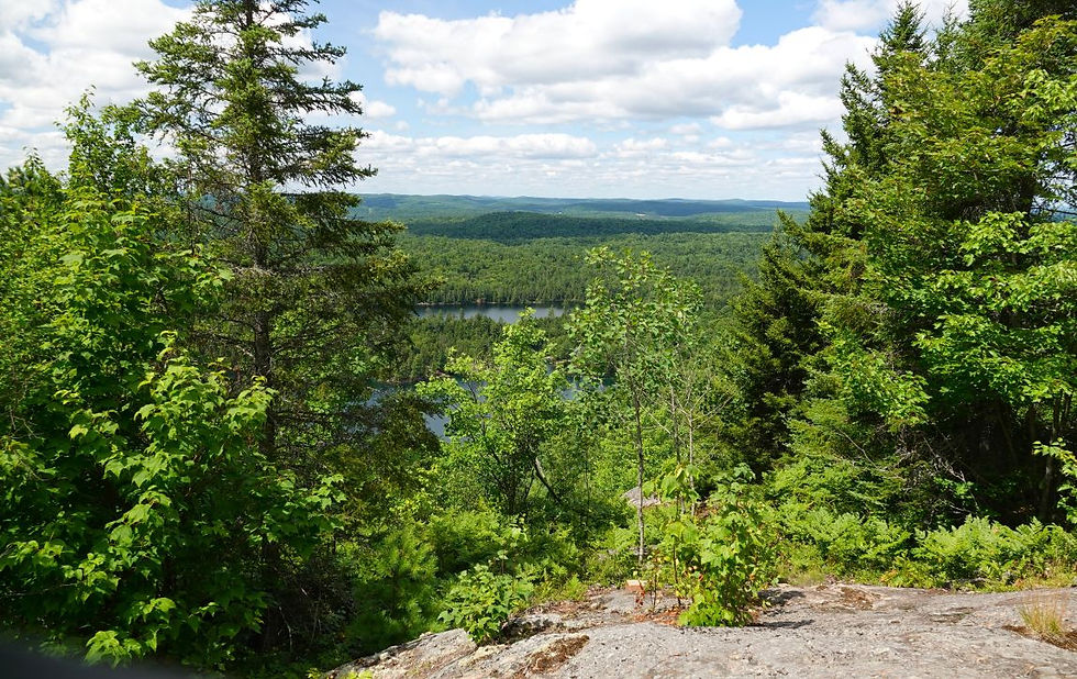 Randonnée Québec, Sentier Cap 360, Labelle Québec, Vues panoramiques, Mont-Tremblant, Nature Laurentides, Forêt québécoise, Lacs Québec, Ressourcement, Bien-être, Pleine conscience, Havre de paix, Exploration nature, Bleuets sauvages, Randonnée facile, Sentier de randonnée, Activité plein air, Conseils randonnée, Équipement randonnée, Connexion nature, Évasion nature, Calme intérieur, Sérénité, Découverte nature, Flore Québec, Faune Québec, Paysages Québec, Voyager au Québec, Explorer l'essence du monde, Coraibes
