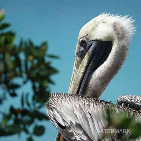 Nature, Yoga, Ressourcement, Créativité, Sens, Immersion, Bien-être, Reconnexion, Éveil, Voyage (intérieur/extérieur), Sérénité, Profondeur, Authenticité, Harmonie, Présence, Inspiration, Exploration, Intuition, Pleine conscience, Découverte, Créativité, Photographie, Ecriture, Yoga thérapie.