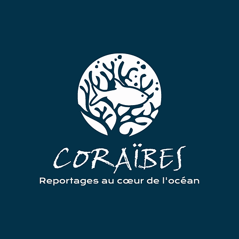 Guadeloupe, Magazine préservation océan, Blog voyage et photo, Photographe sous marin martinique, guadeloupe, antilles, Caraibes
