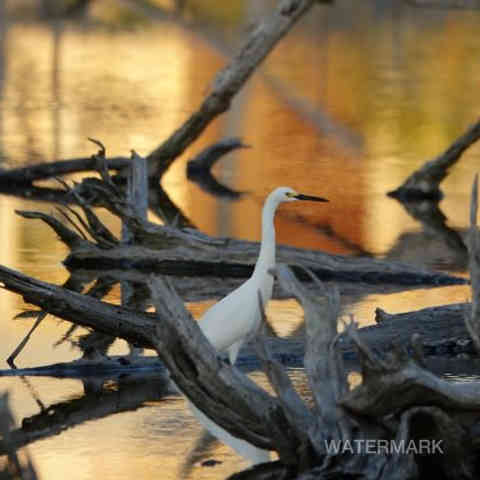 Nature, Yoga, Ressourcement, Créativité, Sens, Immersion, Bien-être, Reconnexion, Éveil, Voyage (intérieur/extérieur), Sérénité, Profondeur, Authenticité, Harmonie, Présence, Inspiration, Exploration, Intuition, Pleine conscience, Découverte, Créativité, Photographie, Ecriture, Yoga thérapie.