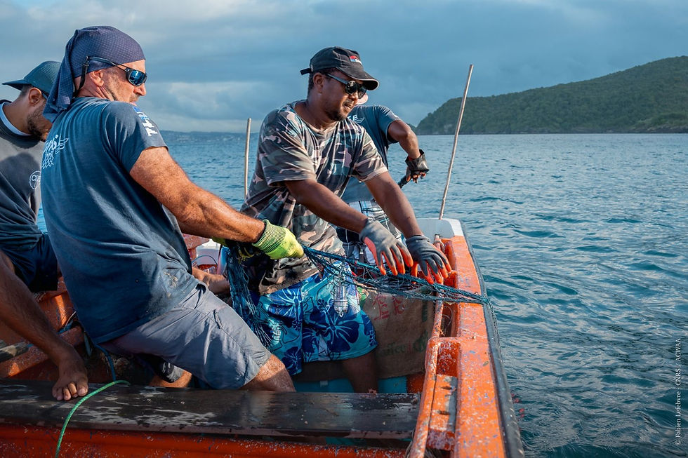 Damien Chevallier et les pêcheurs remontent un filet expérimental (Fabien Lefebvre, ACWAACNRS).