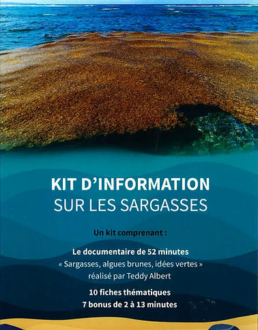 Kit des sargasses aux Antilles