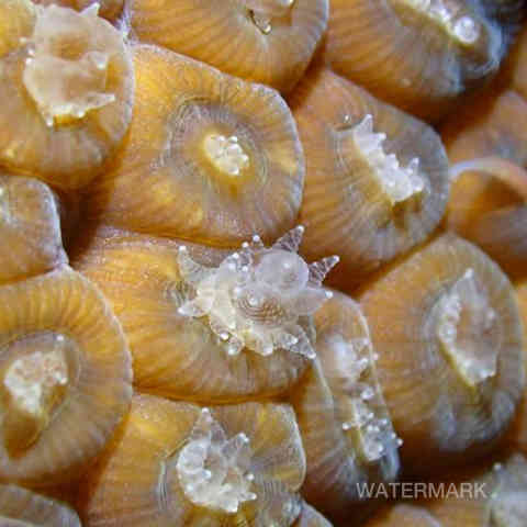 Nature, Yoga, Ressourcement, Créativité, Sens, Immersion, Bien-être, Reconnexion, Éveil, Voyage (intérieur/extérieur), Sérénité, Profondeur, Authenticité, Harmonie, Présence, Inspiration, Exploration, Intuition, Pleine conscience, Découverte, Créativité, Photographie, Ecriture, Yoga thérapie.