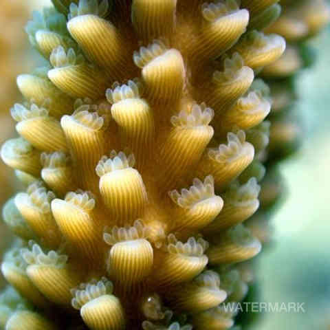 Nature, Yoga, Ressourcement, Créativité, Sens, Immersion, Bien-être, Reconnexion, Éveil, Voyage (intérieur/extérieur), Sérénité, Profondeur, Authenticité, Harmonie, Présence, Inspiration, Exploration, Intuition, Pleine conscience, Découverte, Créativité, Photographie, Ecriture, Yoga thérapie.