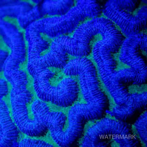 Nature, Yoga, Ressourcement, Créativité, Sens, Immersion, Bien-être, Reconnexion, Éveil, Voyage (intérieur/extérieur), Sérénité, Profondeur, Authenticité, Harmonie, Présence, Inspiration, Exploration, Intuition, Pleine conscience, Découverte, Créativité, Photographie, Ecriture, Yoga thérapie.