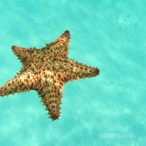 Nature, Yoga, Ressourcement, Créativité, Sens, Immersion, Bien-être, Reconnexion, Éveil, Voyage (intérieur/extérieur), Sérénité, Profondeur, Authenticité, Harmonie, Présence, Inspiration, Exploration, Intuition, Pleine conscience, Découverte, Créativité, Photographie, Ecriture, Yoga thérapie.