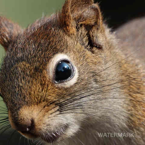 Nature, Yoga, Ressourcement, Créativité, Sens, Immersion, Bien-être, Reconnexion, Éveil, Voyage (intérieur/extérieur), Sérénité, Profondeur, Authenticité, Harmonie, Présence, Inspiration, Exploration, Intuition, Pleine conscience, Découverte, Créativité, Photographie, Ecriture, Yoga thérapie.