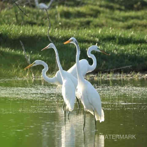 Nature, Yoga, Ressourcement, Créativité, Sens, Immersion, Bien-être, Reconnexion, Éveil, Voyage (intérieur/extérieur), Sérénité, Profondeur, Authenticité, Harmonie, Présence, Inspiration, Exploration, Intuition, Pleine conscience, Découverte, Créativité, Photographie, Ecriture, Yoga thérapie.