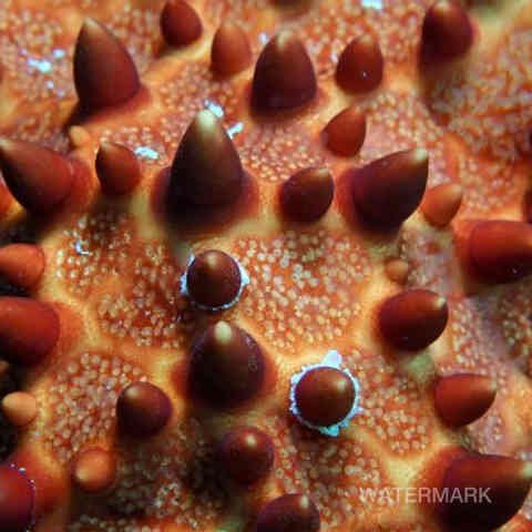 Nature, Yoga, Ressourcement, Créativité, Sens, Immersion, Bien-être, Reconnexion, Éveil, Voyage (intérieur/extérieur), Sérénité, Profondeur, Authenticité, Harmonie, Présence, Inspiration, Exploration, Intuition, Pleine conscience, Découverte, Créativité, Photographie, Ecriture, Yoga thérapie.