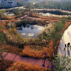 Placemaking through Park Levves