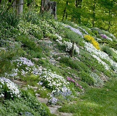 Placemaking through Stormwater Berms