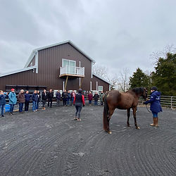 Saddle fitting course