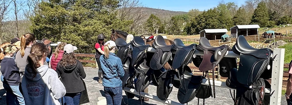 Choosing a saddle for a client