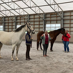 Assessing conformation for saddle fitting
