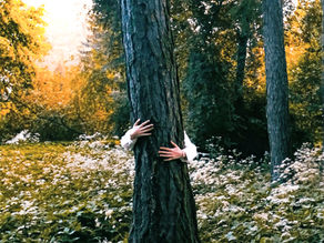 Gentle Ways to Care for the Earth This Earth Day