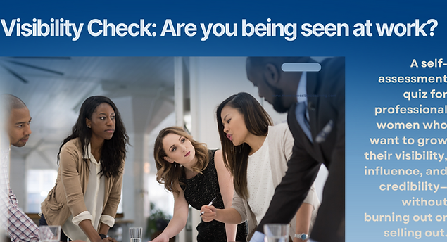 visibility check program cover.png