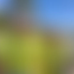 Fornyelse av Majorstuen stasjon