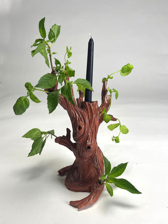 Herbs and love detail