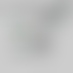 Rezension wellness news international