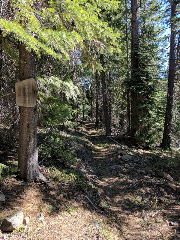 The exact spot that I stepped out onto the trail from the forest.
