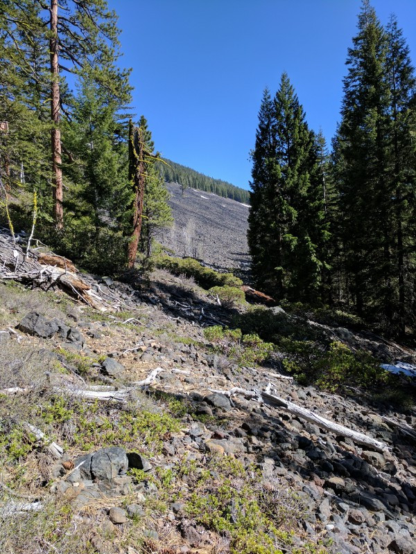 Luckily passing one hundred feet or so north of a huge rockfield during the descent. I believe that this is the same rockfield I descended during my first summit of the mountain in 2013.