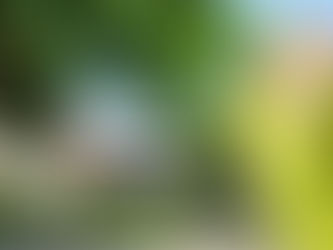 Zorgonderneming van de week: WZC Huize Wispelaere uit Lebbeke