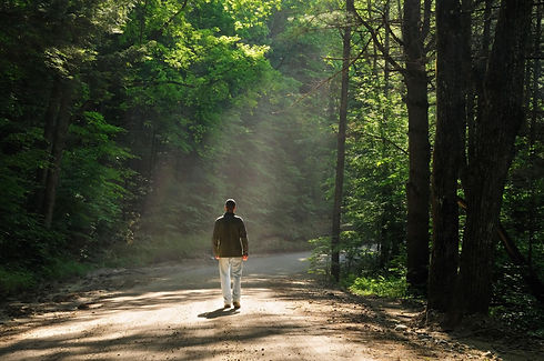 pathway.jpg