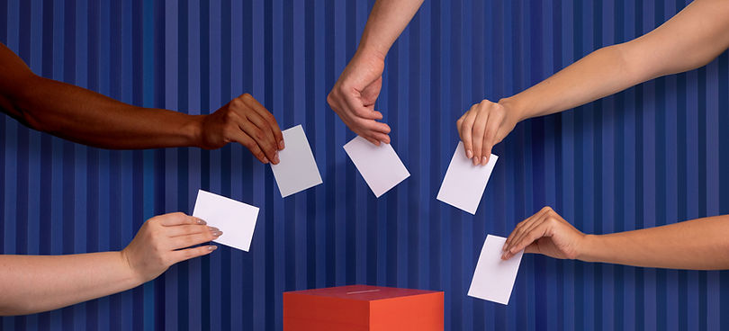 Voters_edited.jpg