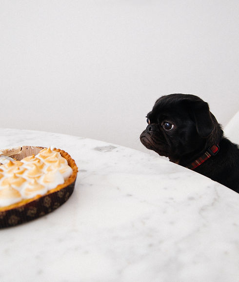 Waiting for the Dessert
