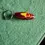 Thumbnail: Acrylic Keyrings