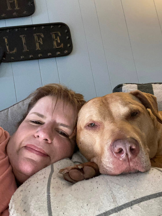 Amos – Part 2: Walks, Sunbeams, and a Big Personality