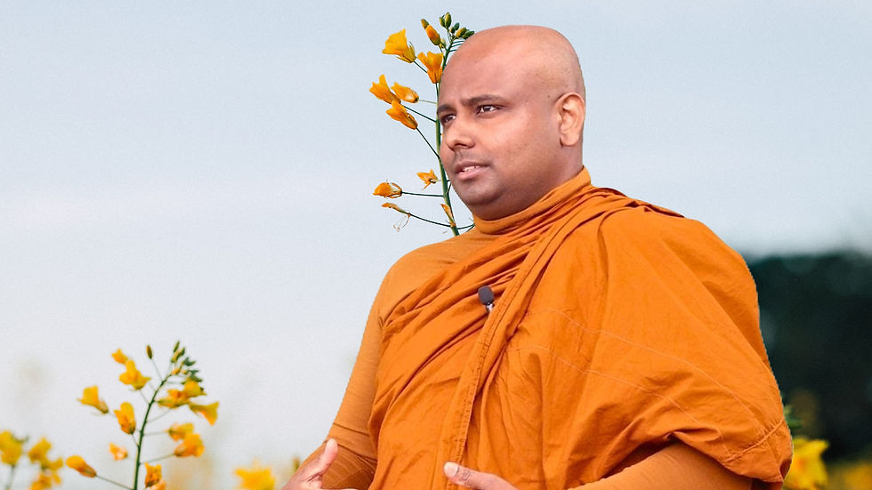 Finding Calm in a Hectic World