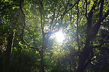 IMG_0471.JPG