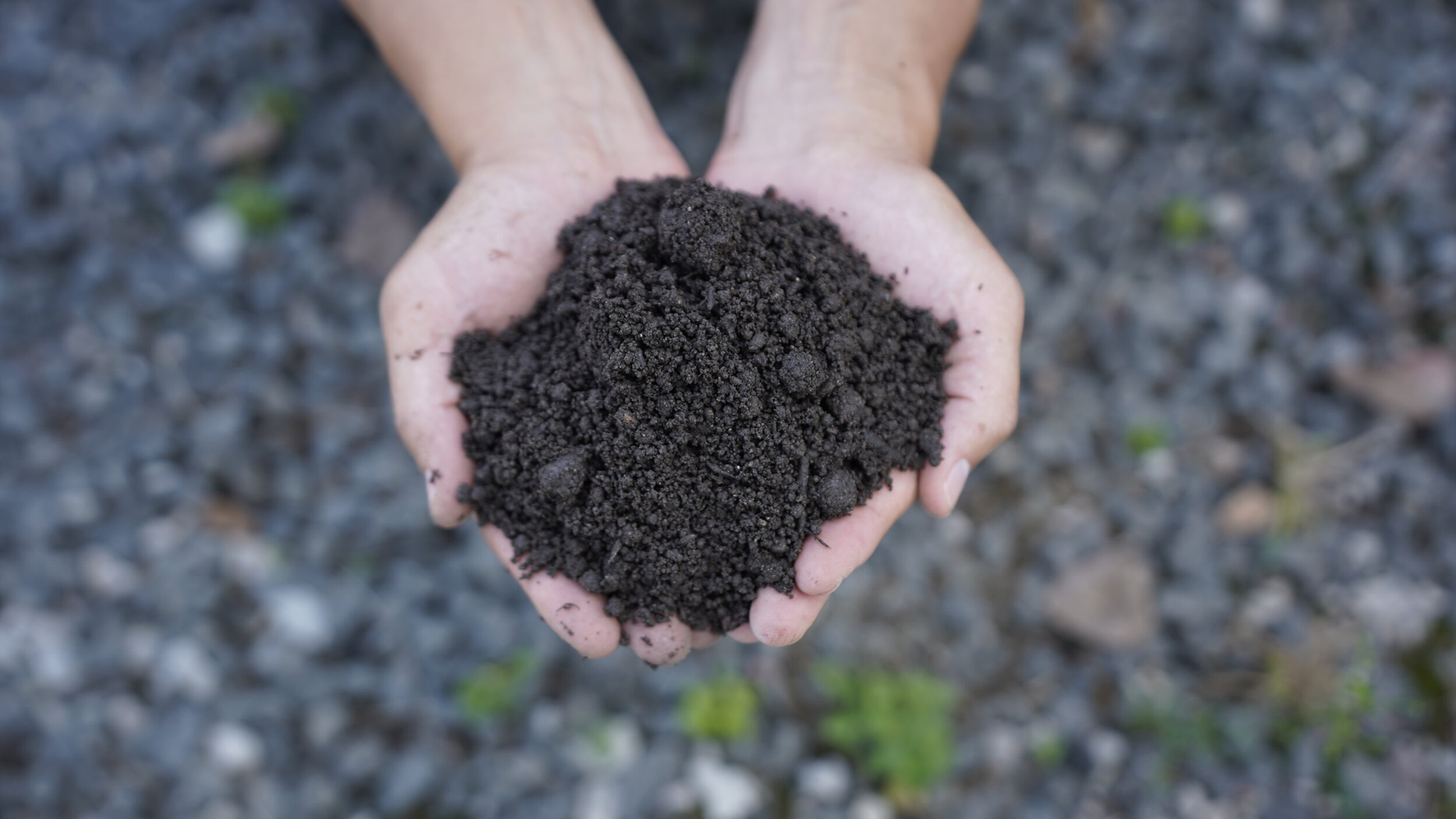 Premium Screened Topsoil