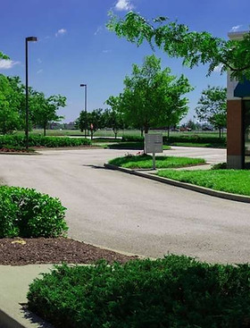 parking lot island landscaping.jpeg
