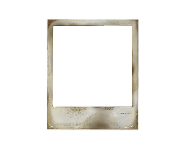 small polaroid.png