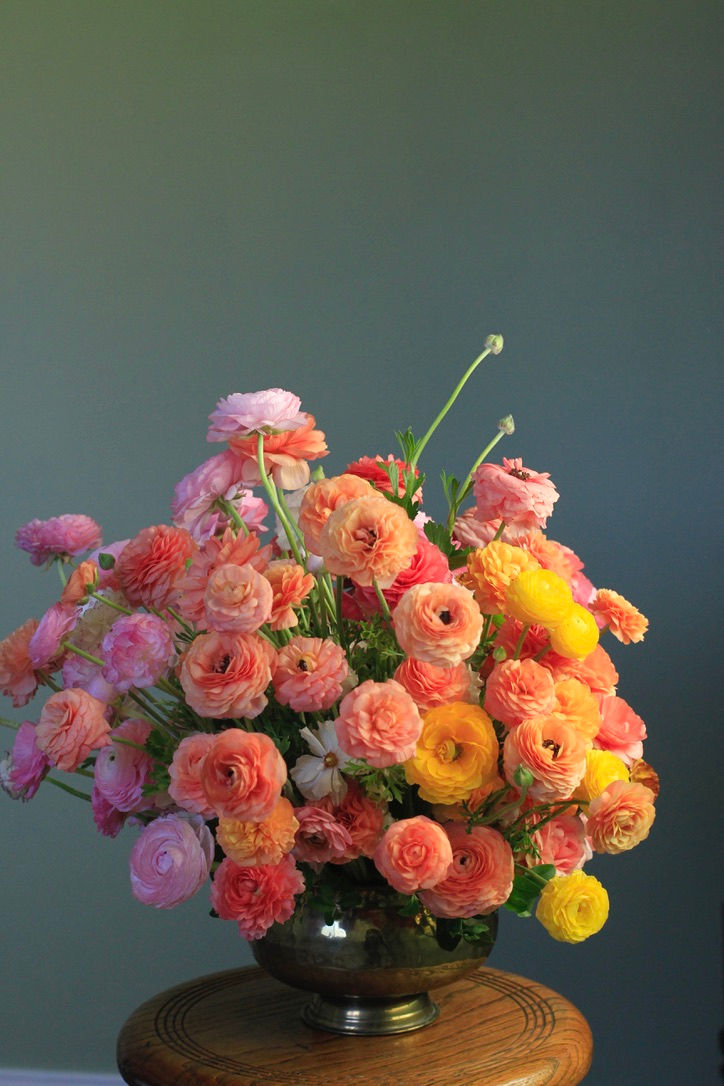 Ranunculus