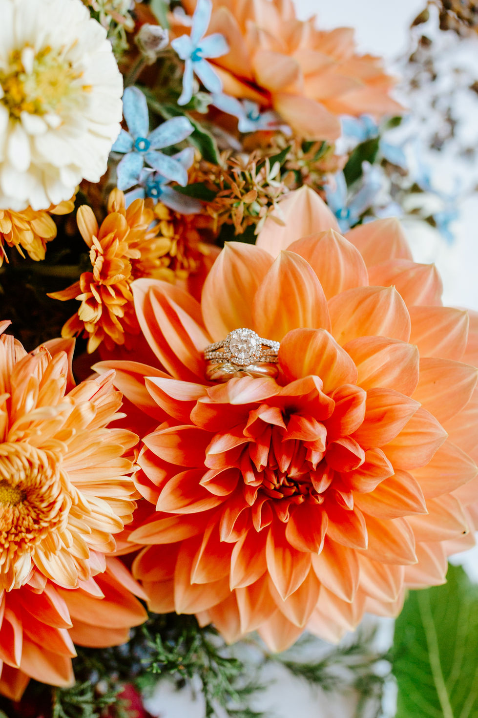 Madison + Zane by Hannah Campbell Photography