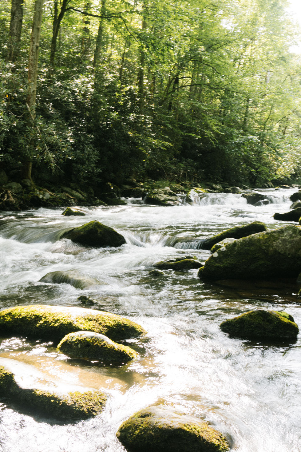 Tess + Samuel Photographed by Eugene Svirhun