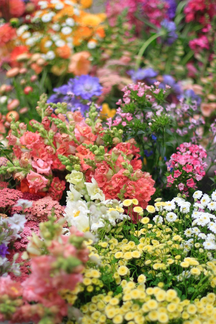 Early Summer mix