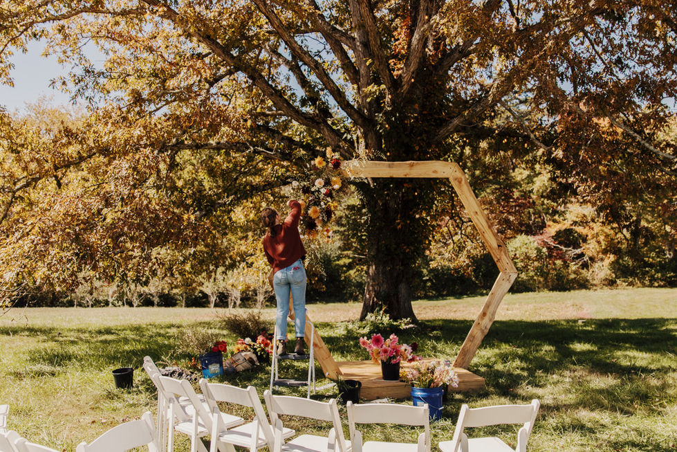 Tess Ender Photography