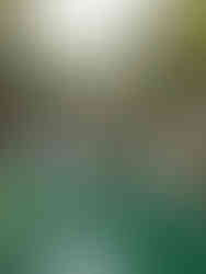 Plitvice meren Kroatië, watervallen Kroatië, Ongekende Weg