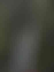 Mooiste watervallen Bali - Munduk waterval - Indonesiƫ - Ongekende Weg