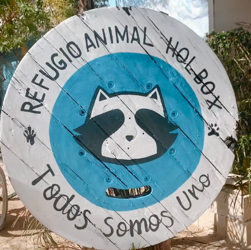 Wat te doen op Isla Holbox, honden uitlaten asiel, animal sanctuary holbox Mexico, Ongekende Weg