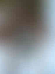 Kaohsiung, Cijin Beach, Cijin, bezienswaardigheden Kaohsiung, Taiwan, Ongekende Weg