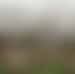 Al onze favoriete tips voor Taichung in Taiwan!